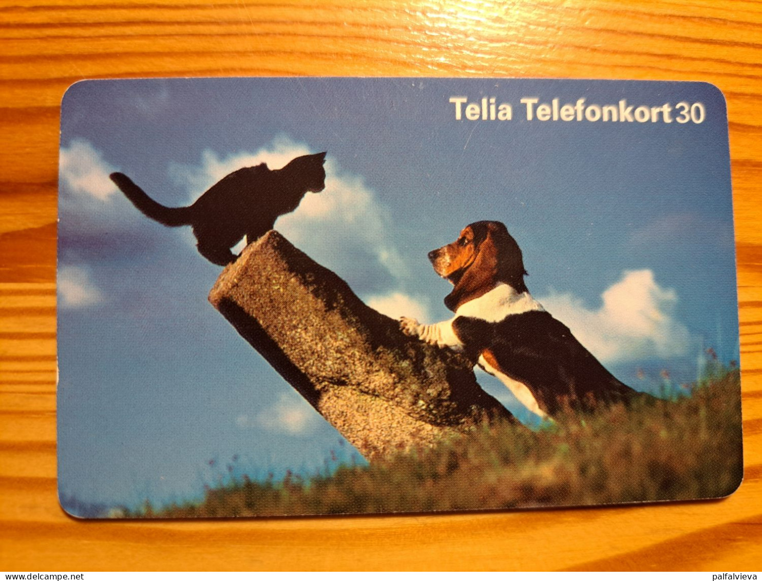 Phonecard Sweden - Cat, Dog - Suède