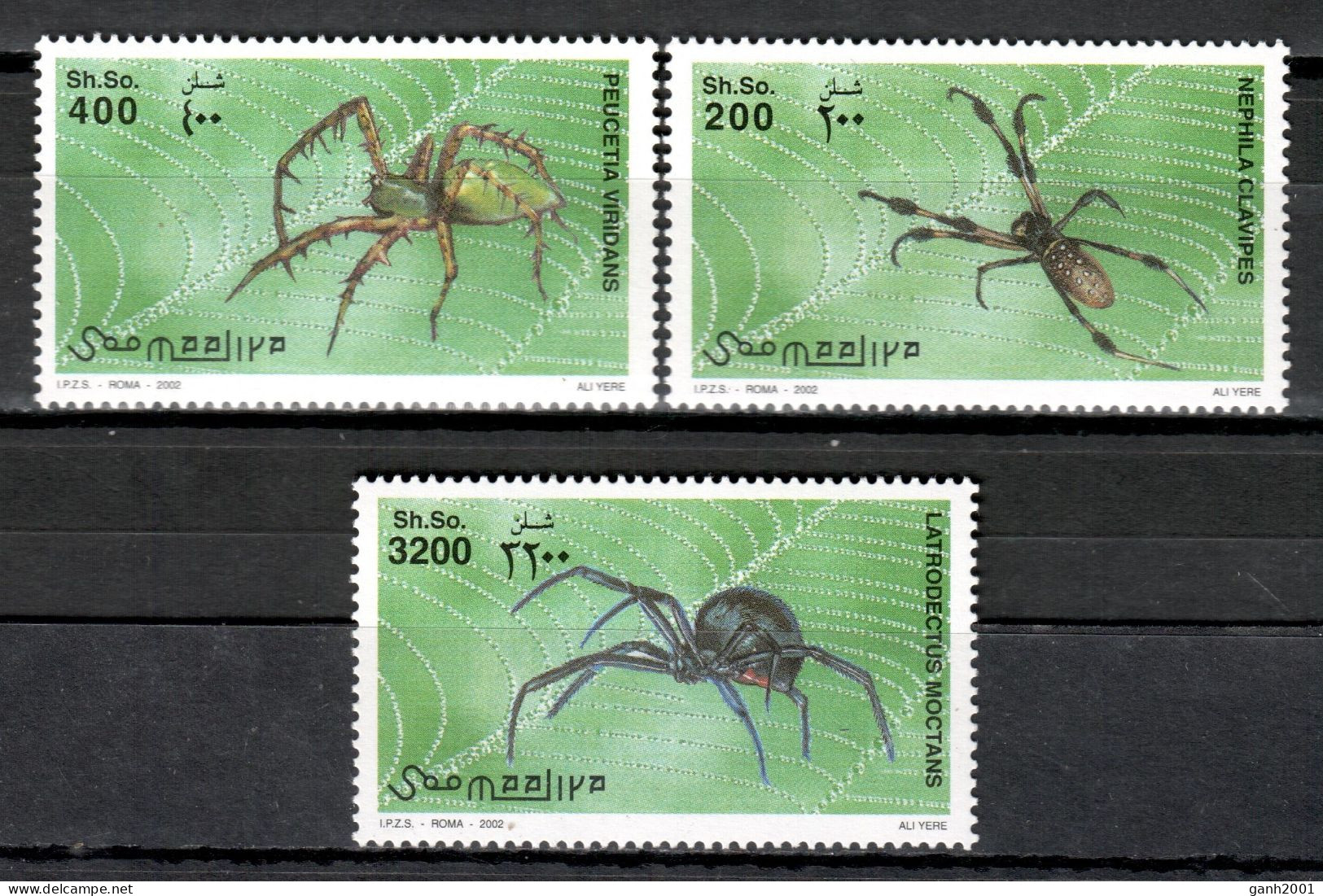 Somalia 2002 / Insects Spiders Arachnids MNH Insectos Arañas Spinnen / Cu20364  7-26 - Araignées