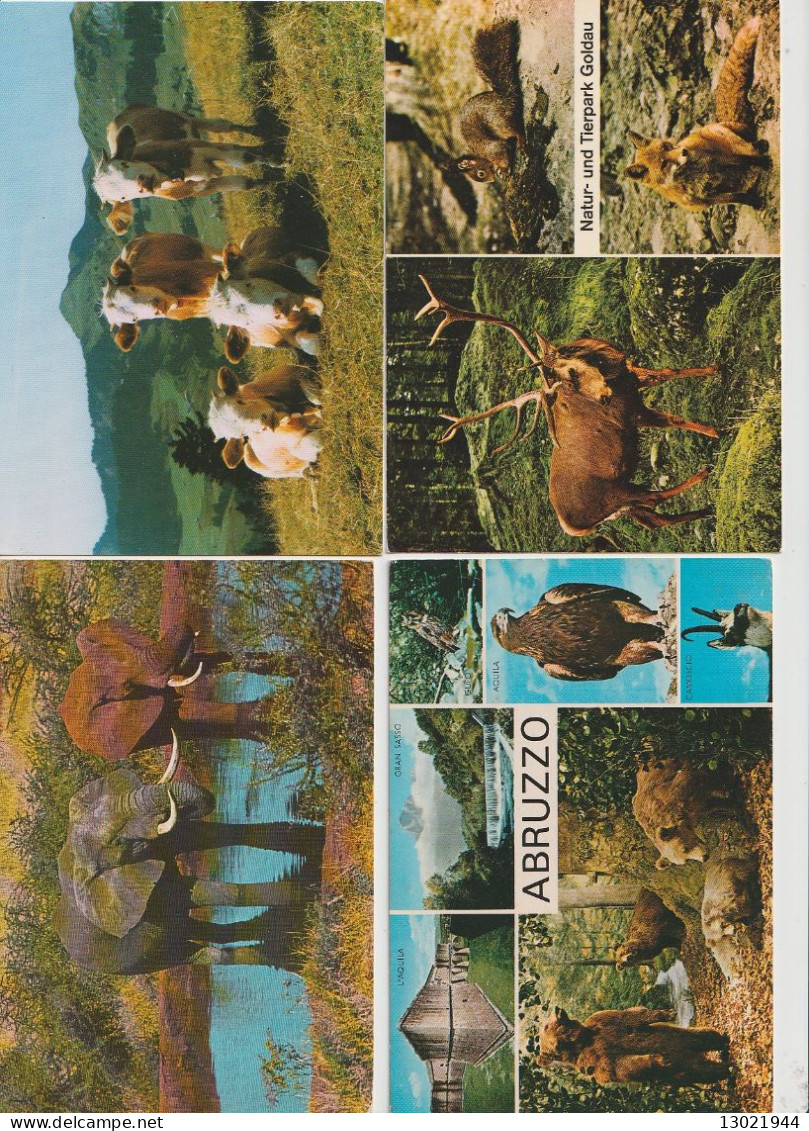 VENDO AL MAGGIORE OFFERENTE 92  CARTOLINE CON VARI ANIMALI.POSSIBILE VENDITA PARZIALE. - Verzamelingen & Kavels