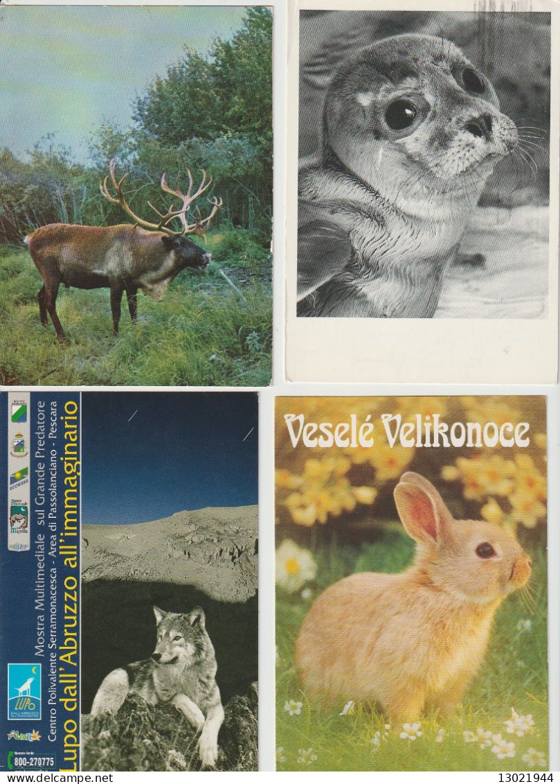 VENDO AL MAGGIORE OFFERENTE 92  CARTOLINE CON VARI ANIMALI.POSSIBILE VENDITA PARZIALE.