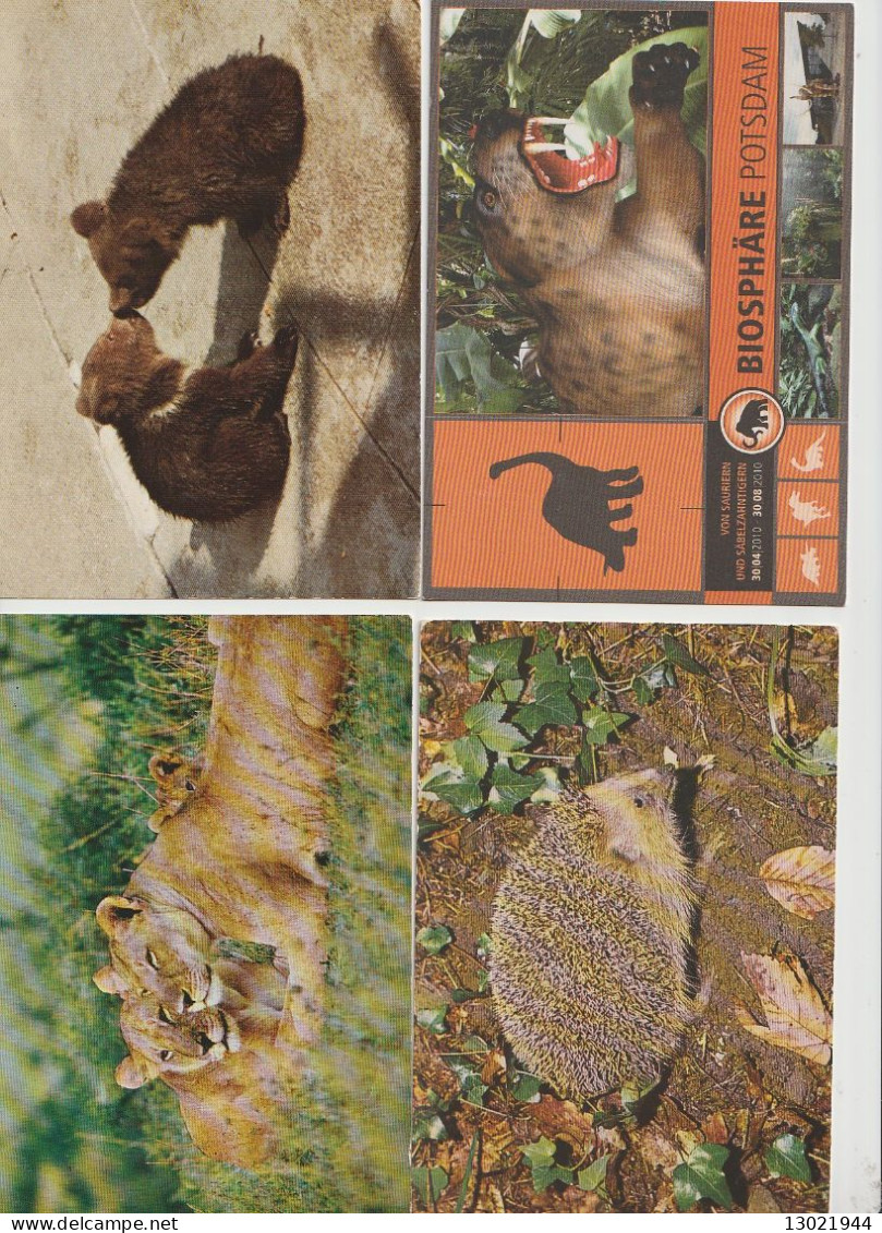 VENDO AL MAGGIORE OFFERENTE 92  CARTOLINE CON VARI ANIMALI.POSSIBILE VENDITA PARZIALE.