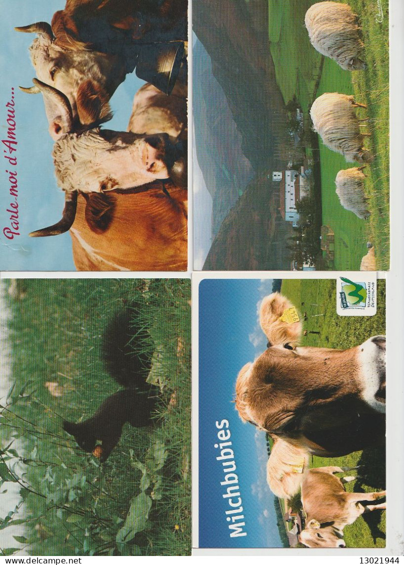 VENDO AL MAGGIORE OFFERENTE 75  CARTOLINE CON VARI ANIMALI.POSSIBILE VENDITA PARZIALE. - Verzamelingen & Kavels