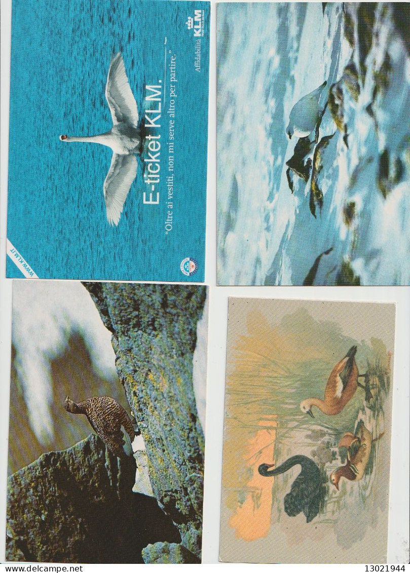 VENDO AL MIGLIORE OFFERENTE 52 CARTOLINE CON ANIMALI PENNUTI.POSSIBILE VENDITA SINGOLE CARTOLINE.