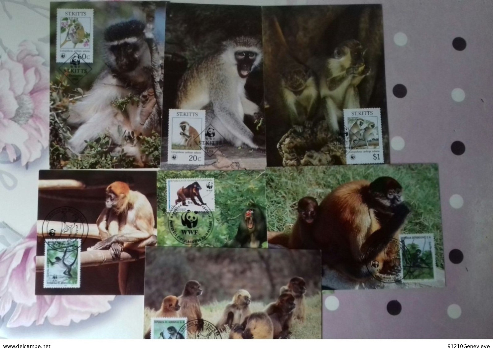 WWF CARTE MAXIMUM   1ER JOUR  (LOT De 26) - Cartes-maximum