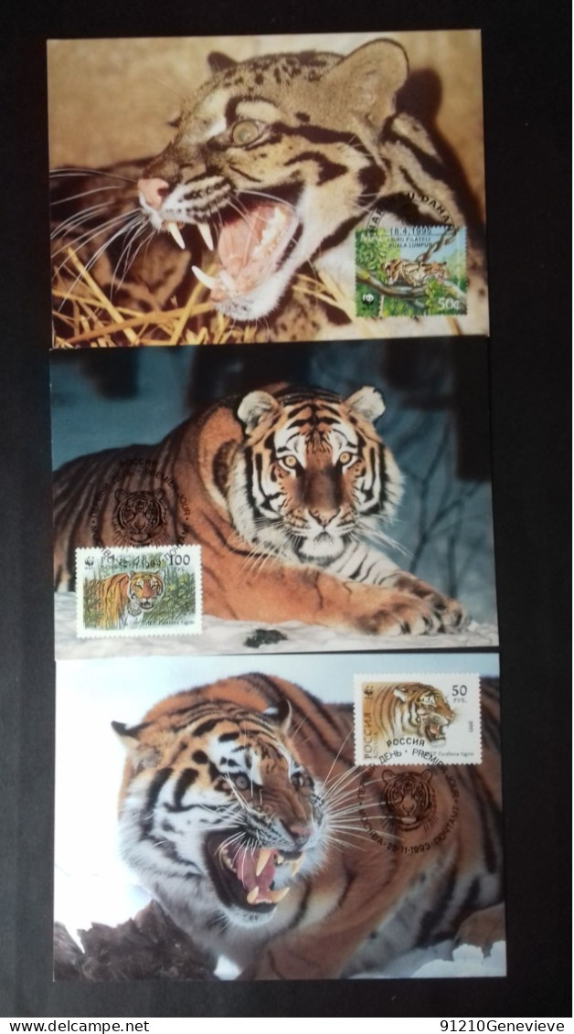 WWF CARTE MAXIMUM   1ER JOUR  (LOT) - Maximumkarten