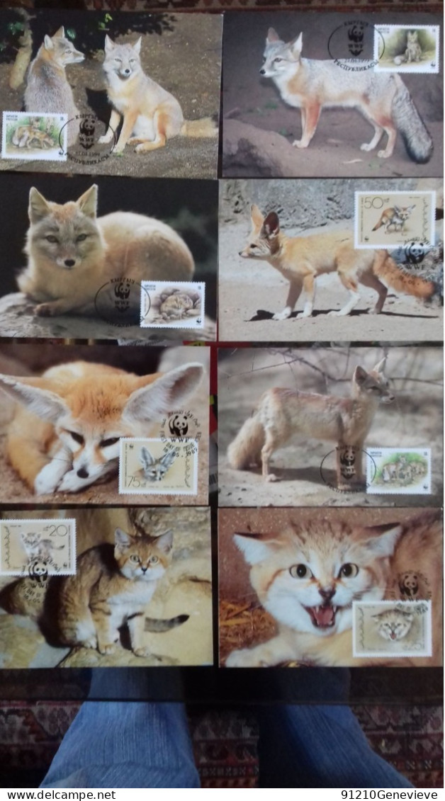 WWF CARTE MAXIMUM   1ER JOUR  (LOT) - Cartoline Maximum