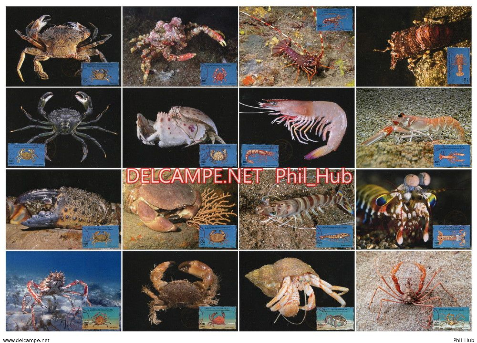 LIBYA 1996 Crustaceans Crustacea (16 Maximum-cards) - Schalentiere