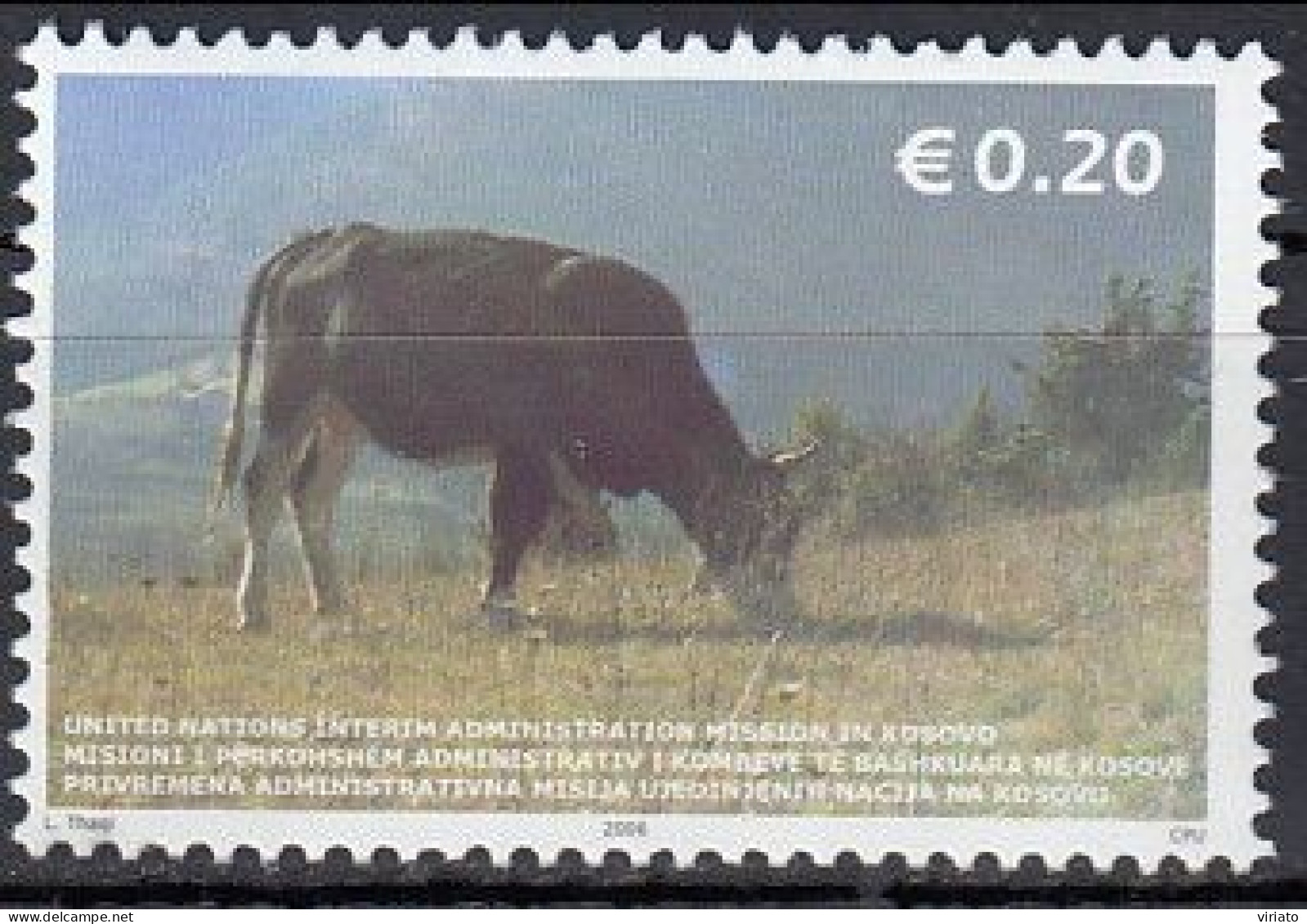 Kosovo 2006 (MNH) (m 46) - Cow (Bos Primigenius Taurus) - Vaches