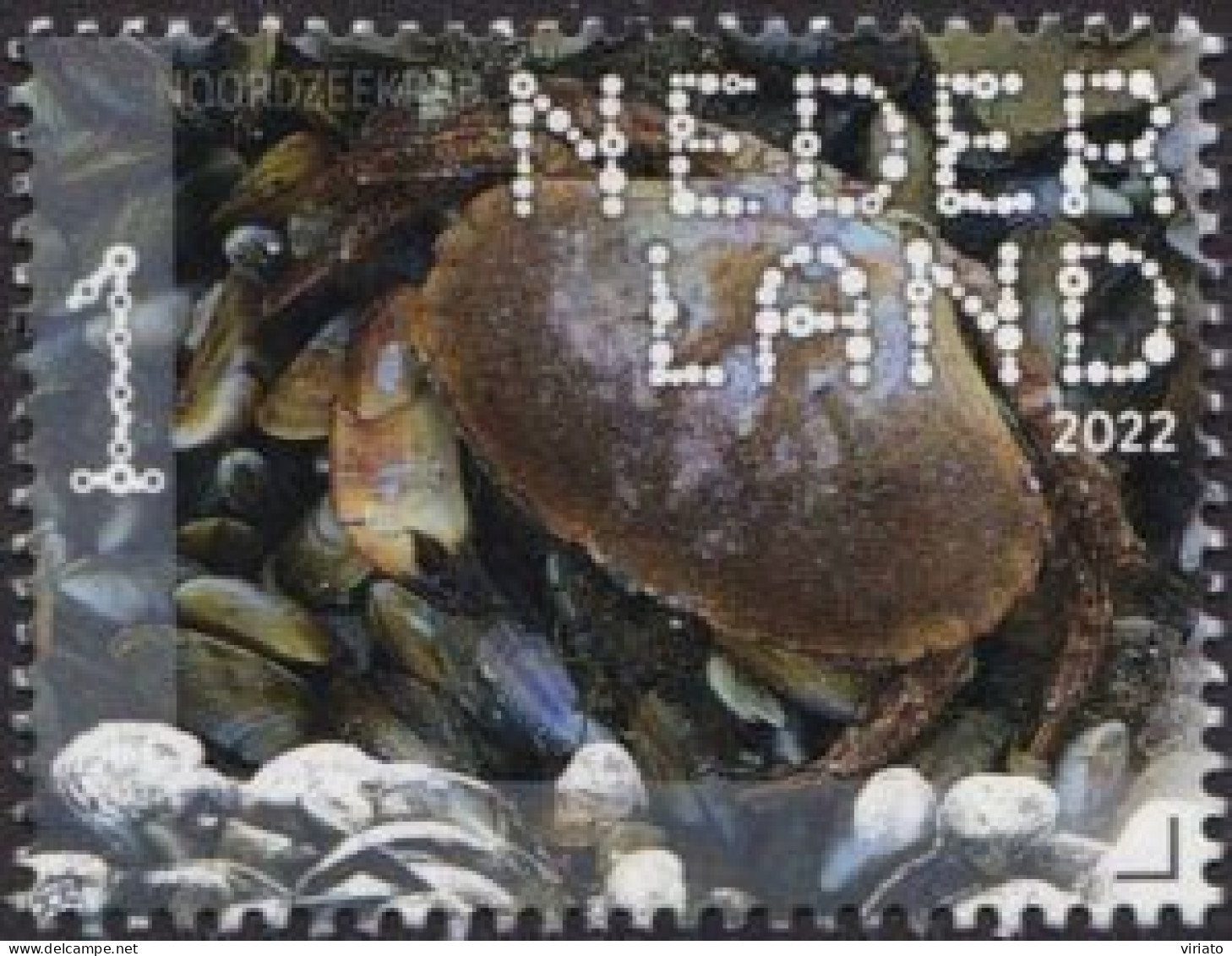 Netherlands 2022 (MNH) (Mi 4075) - Brown Crab (Cancer Pagurus) - Crostacei