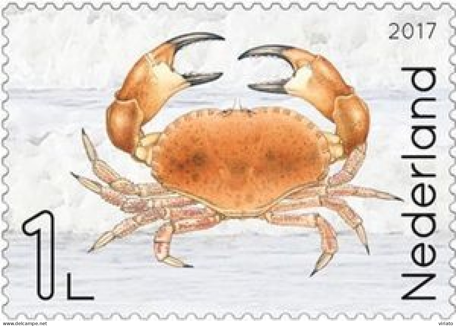 Netherlands 2017 (NNH) (Mi 3627A) - Edible Crab (Cancer Pagurus)1 - Schalentiere