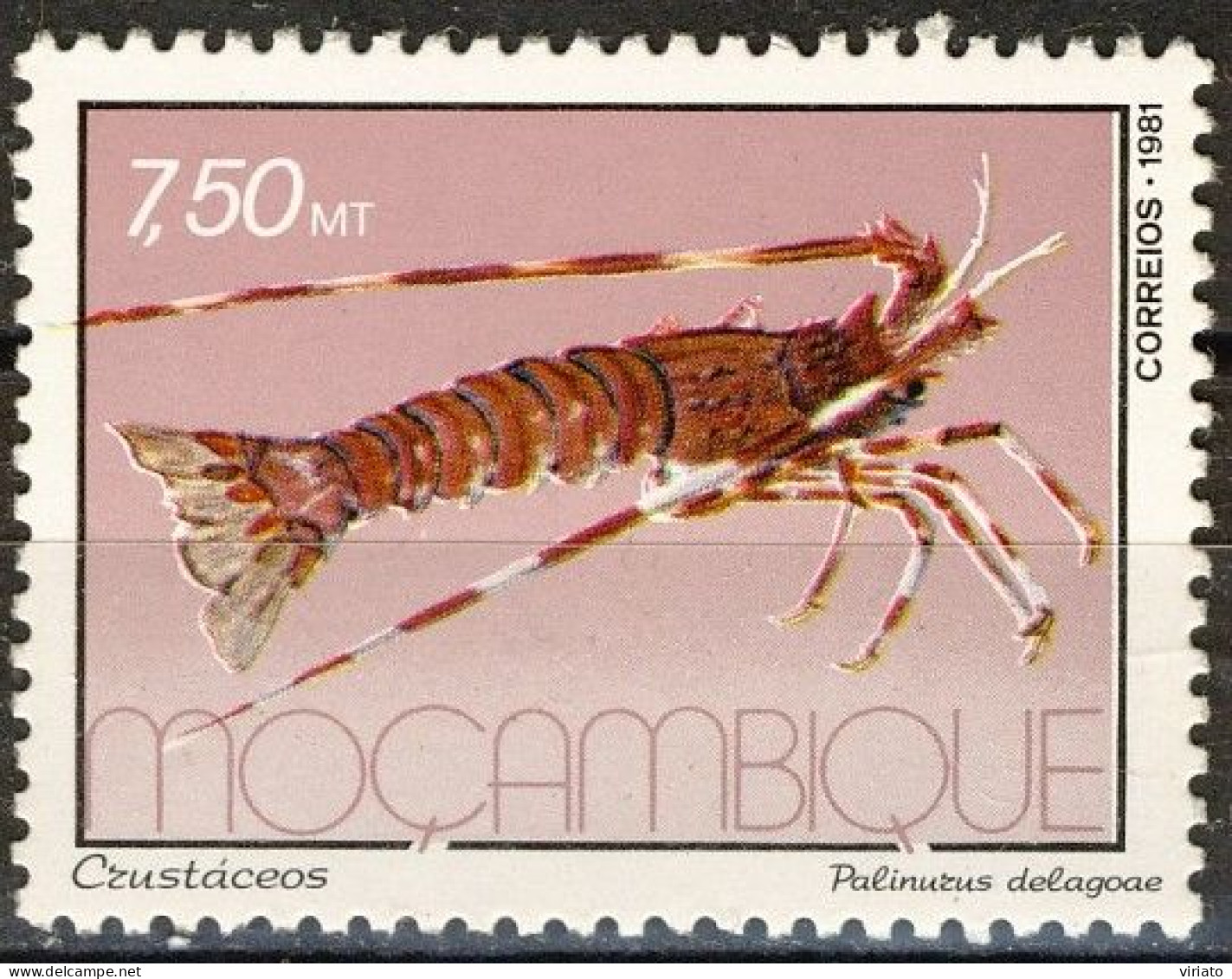Mozambique 1981 (MNH) (Mi 862) - Natal Spiny Lobster (Palinurus Delagoae) - Crostacei