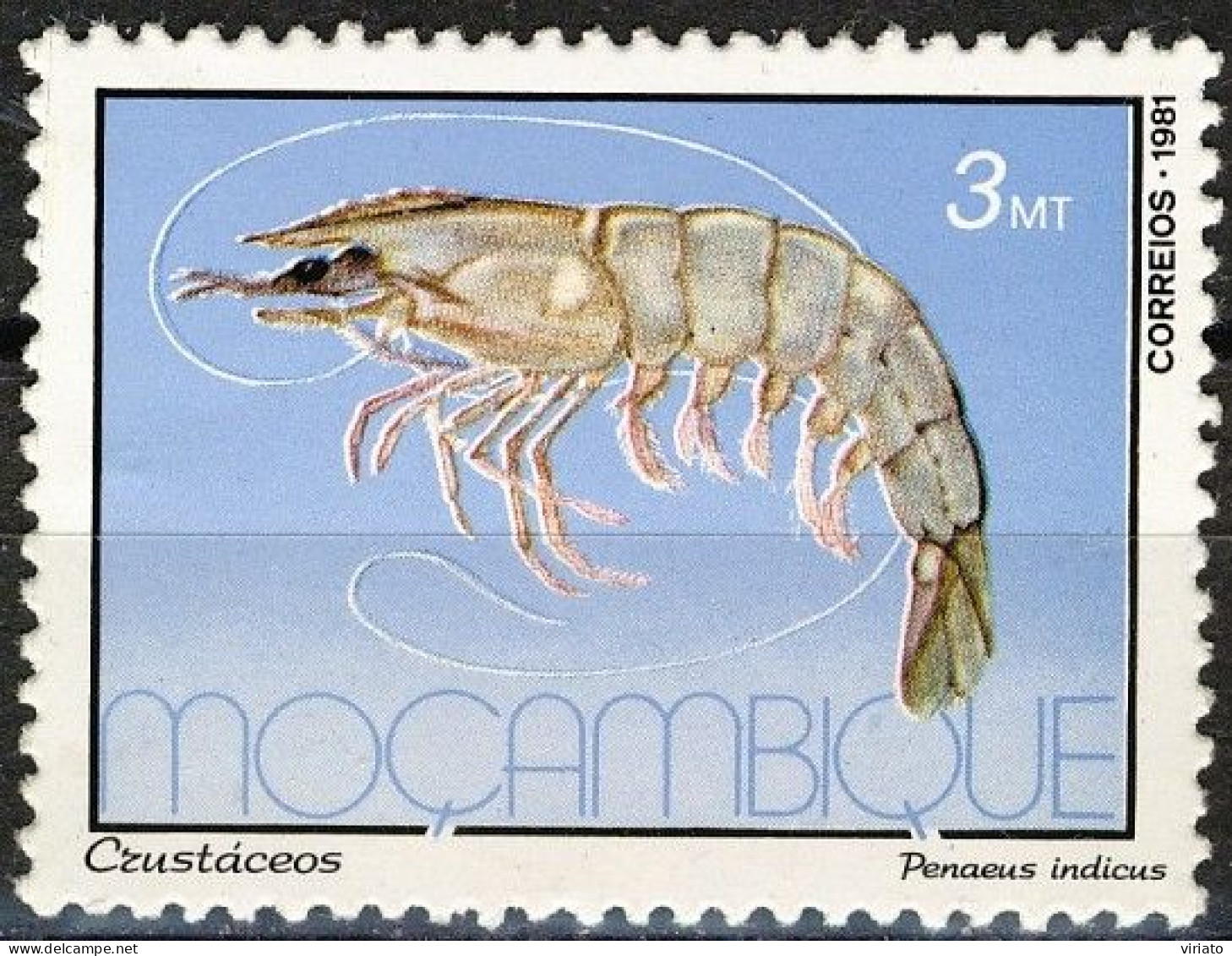 Mozambique 1981 (MNH) (Mi 861) - Indian Prawn (Fenneropenaeus Indicus) - Crostacei