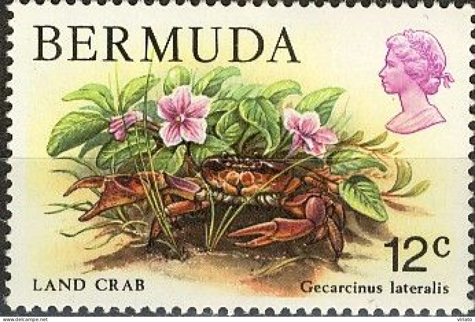 Bermuda 1979  (MNH) (Mi 358) - Bermuda Land Crab (Gecarcinus Lateralis) - Crustacés