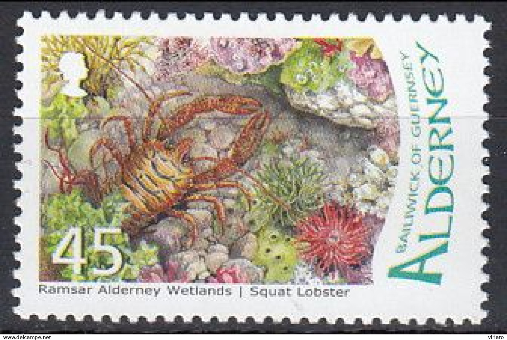 Alderney 2007 (MNH) (Mi 300) - Squat Lobster (Galathea Sp.) - Crustacés