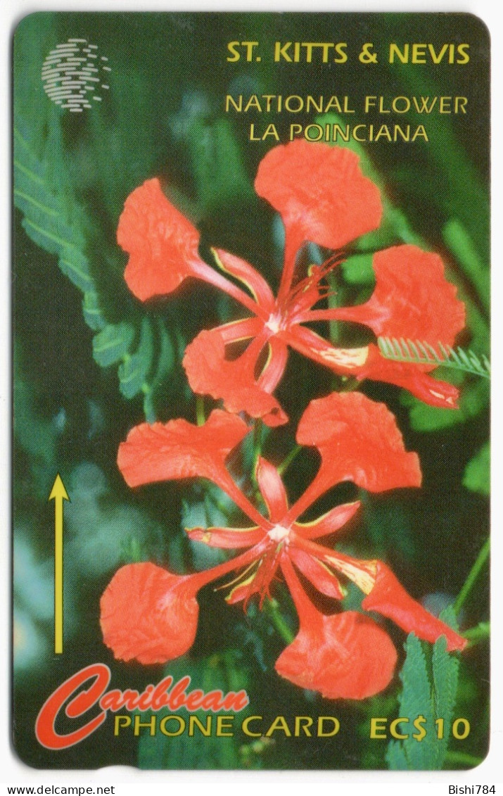 St. Kitts & Nevis - National Flower - 190CSKA - Saint Kitts & Nevis