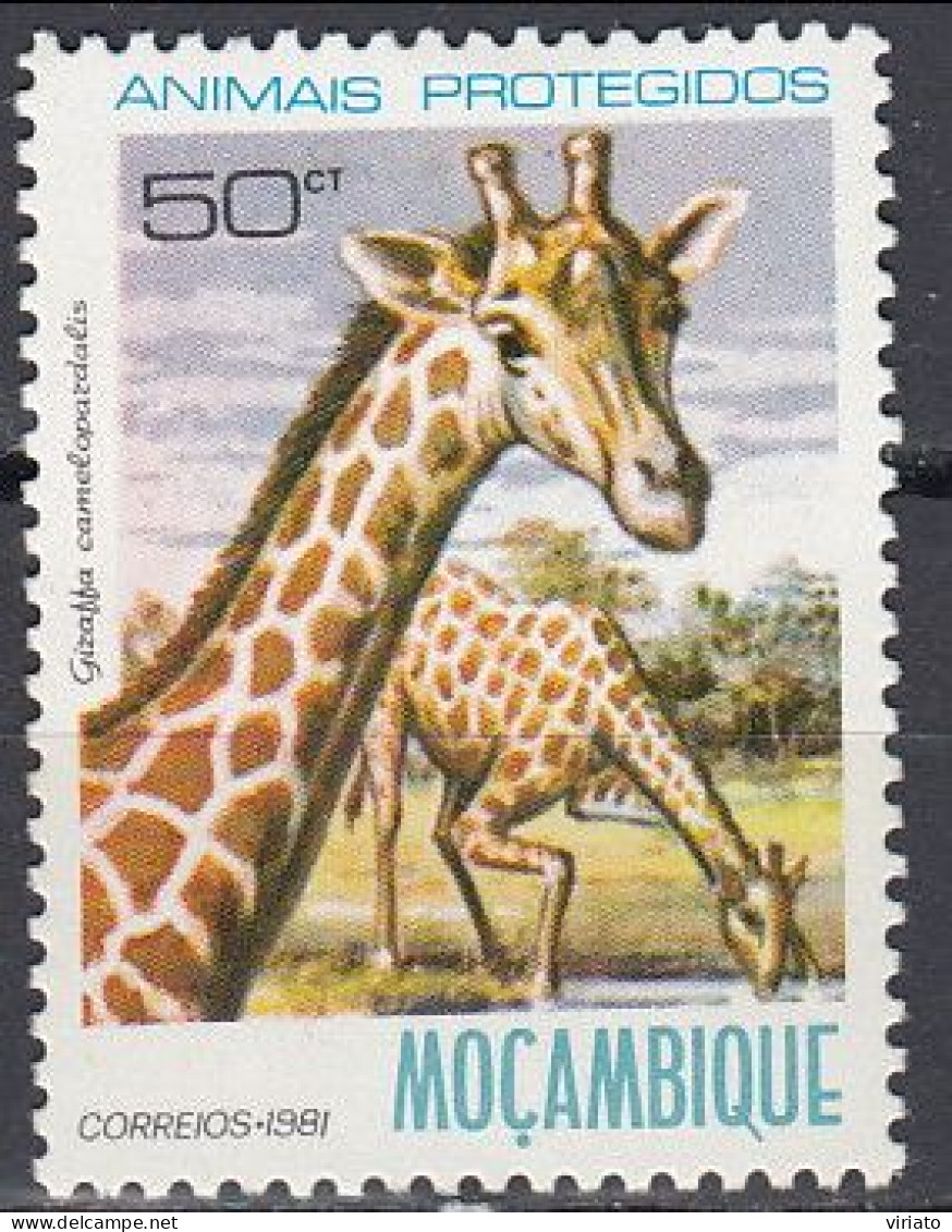 Mozambique 1981 (MNH) (Mi 796) - Giraffe (Giraffa Camelopardalis) - Jirafas