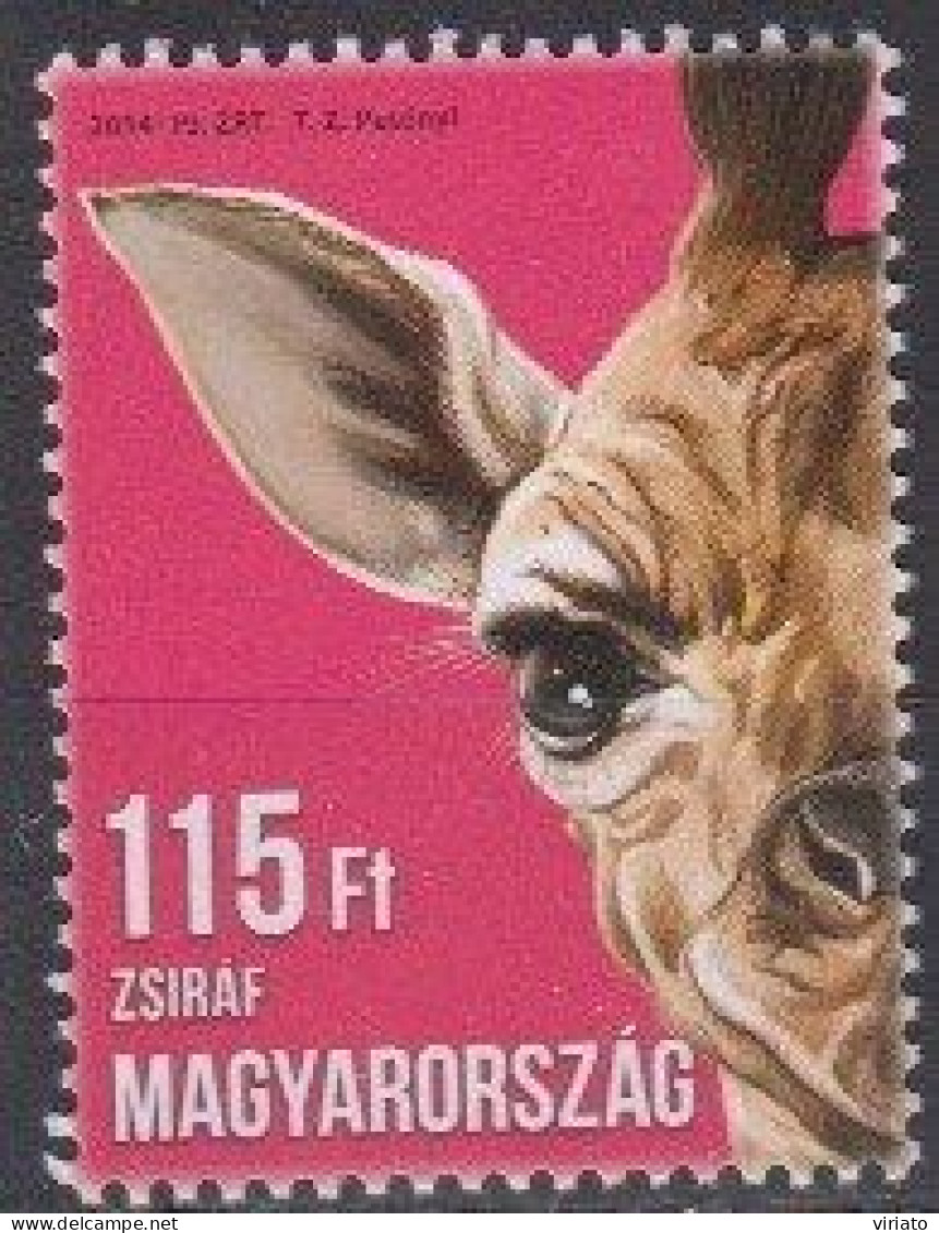 Hungary 2014 (MNH) Mi 5674 - Young Giraffe (Giraffa Camelopardalis) - Giraffes