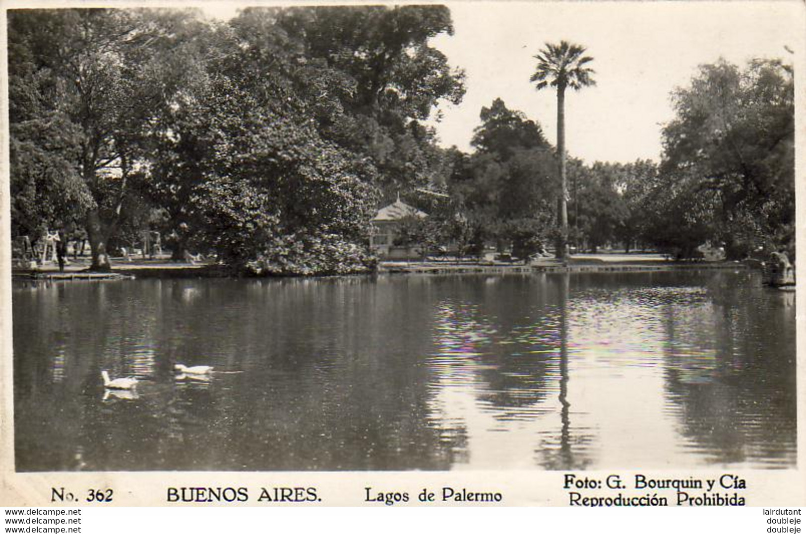 ARGENTINE  BUENOS AIRES  Lagos De Palermo  ..... - Argentine