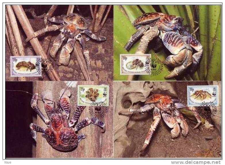 British Indian Ocean Territory 1993 WWF W.W.F. Maximum Cards Coconut Crab Set X4 Fauna, India - Maximumkaarten