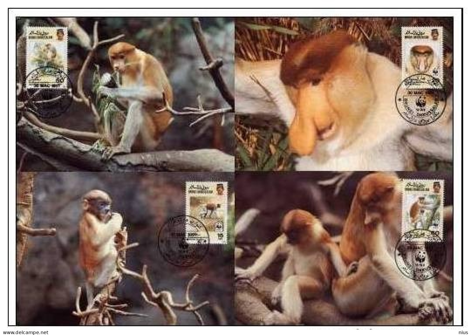 Brunei 1991 WWF W.W.F. MC Maximum Cards Brunei Monkey Monkeys Set Fauna - Maximumkarten