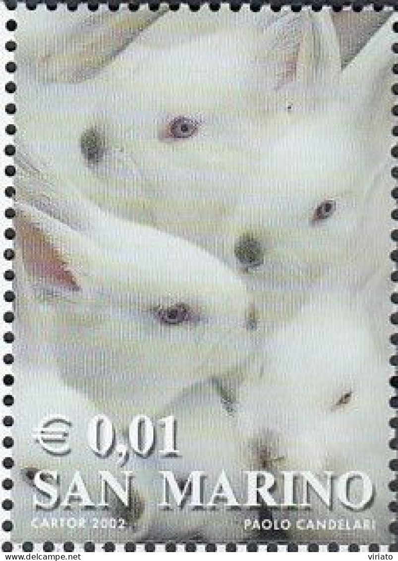 San Marino 2002 (MNH) (Mi 1998) - White Rabbits - Lapins
