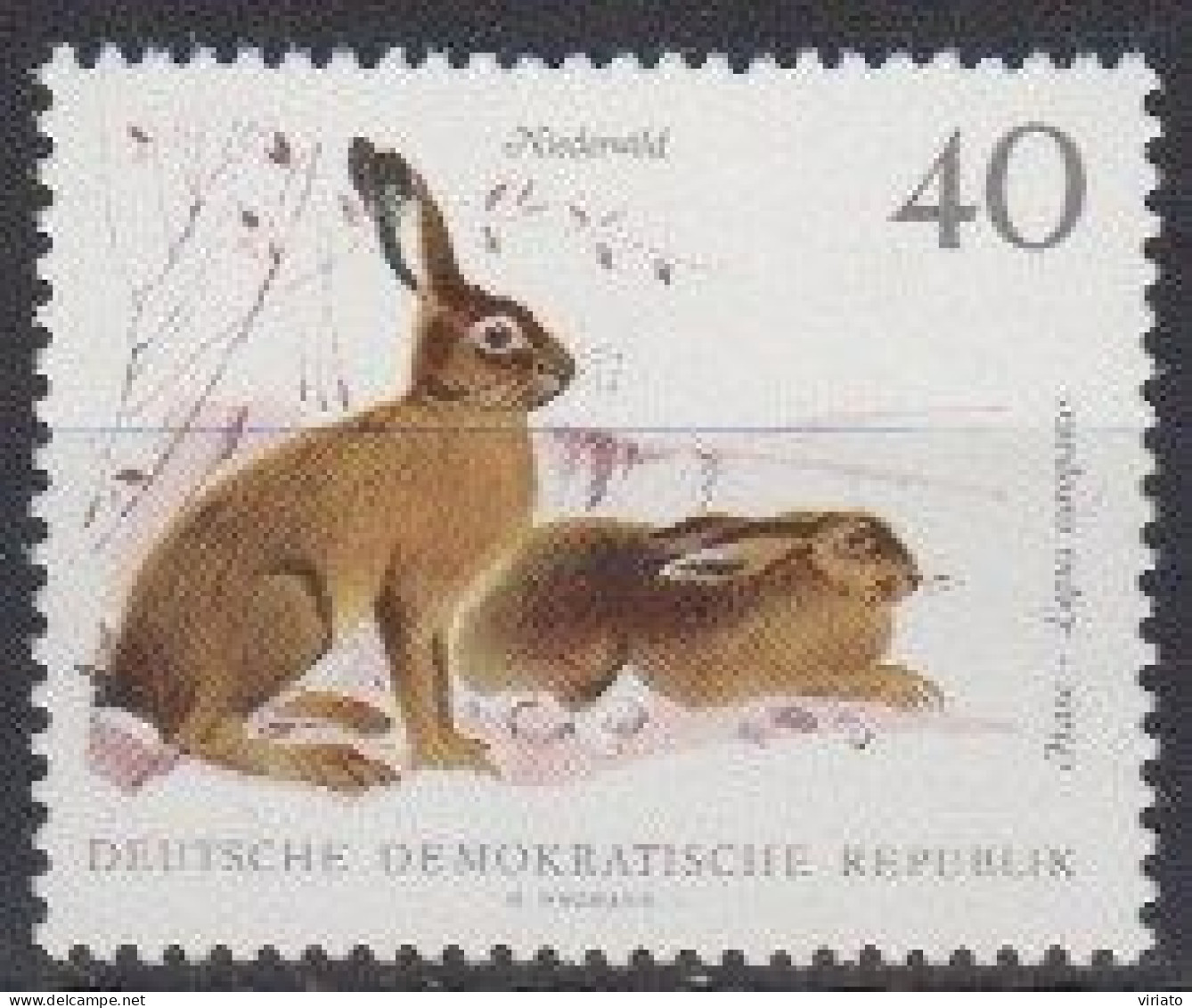 DDR 1968 (MNH) (Mi 1362) - European Hare (Lepus Europaeus) - Conejos