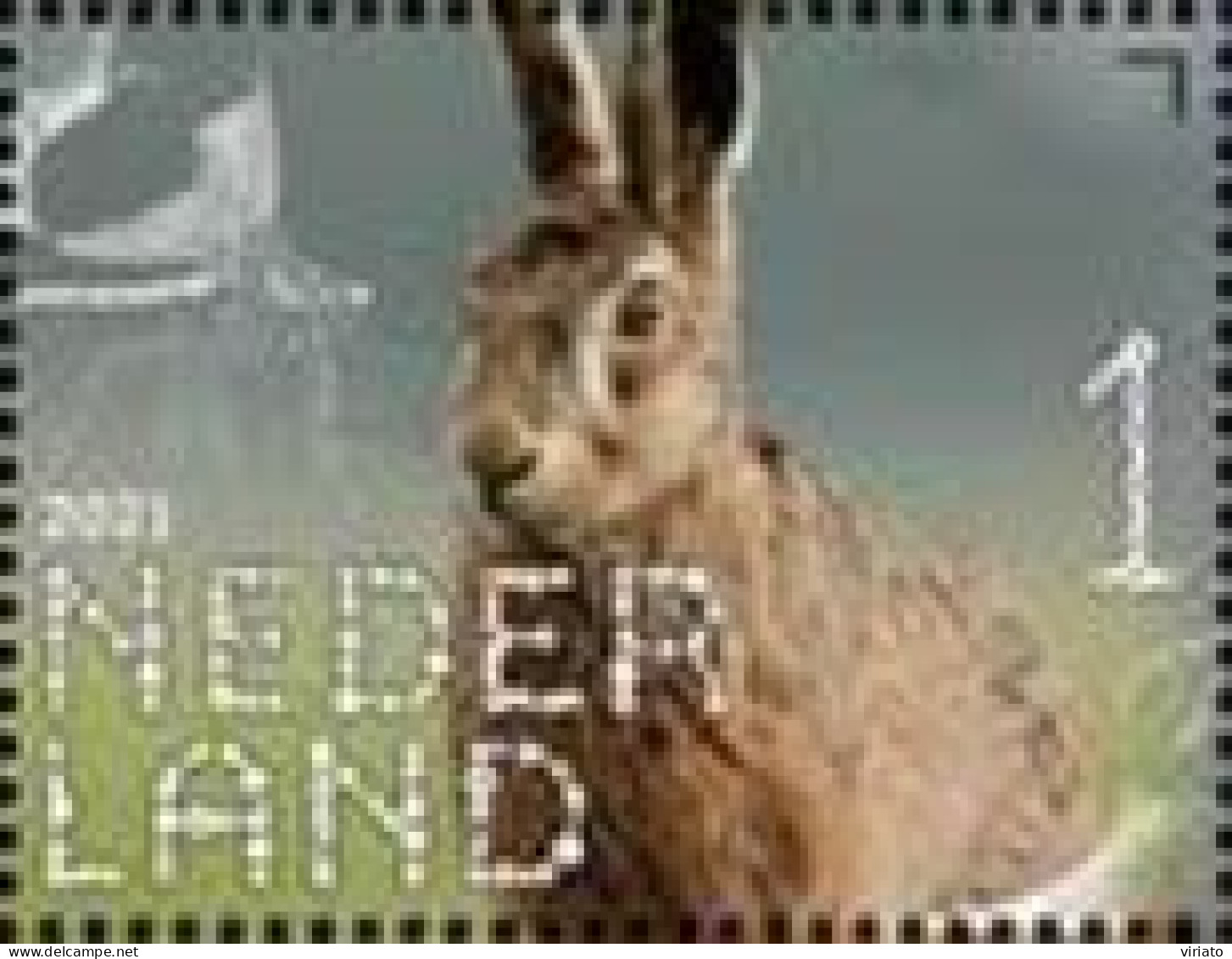 Netherlands 2021 (MNH) (Mi 4022) - European Hare (Lepus Europaeus) - Konijnen