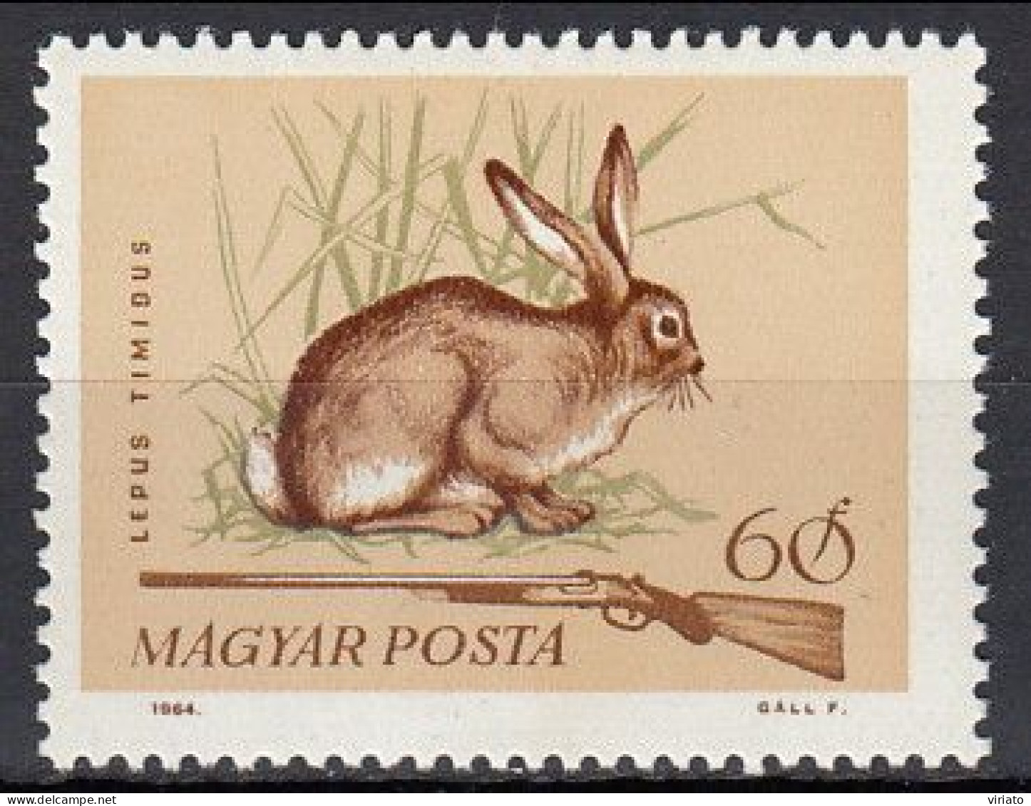 Hungary 1964 (MNH) (Mi 2082A) - Mountain Hare (Lepus Timidus) - Konijnen