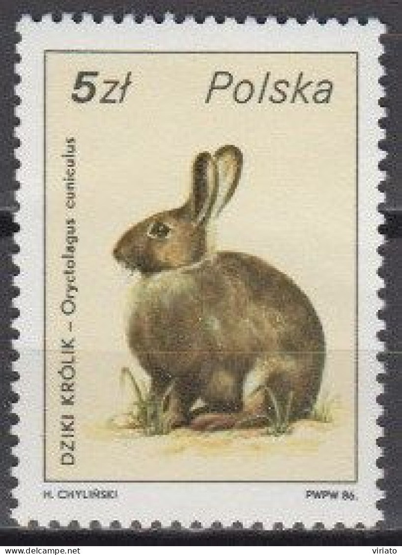 Poland 1986 (MNH) (Mi 3020) - European Rabbit (Oryctolagus Cuniculus) - Conigli