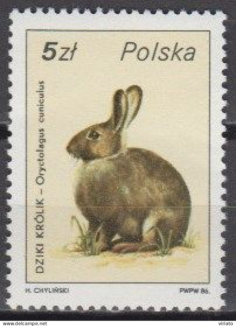 Poland 1986 (MNH) (Mi 3020) - European Rabbit (Oryctolagus Cuniculus) - Lapins