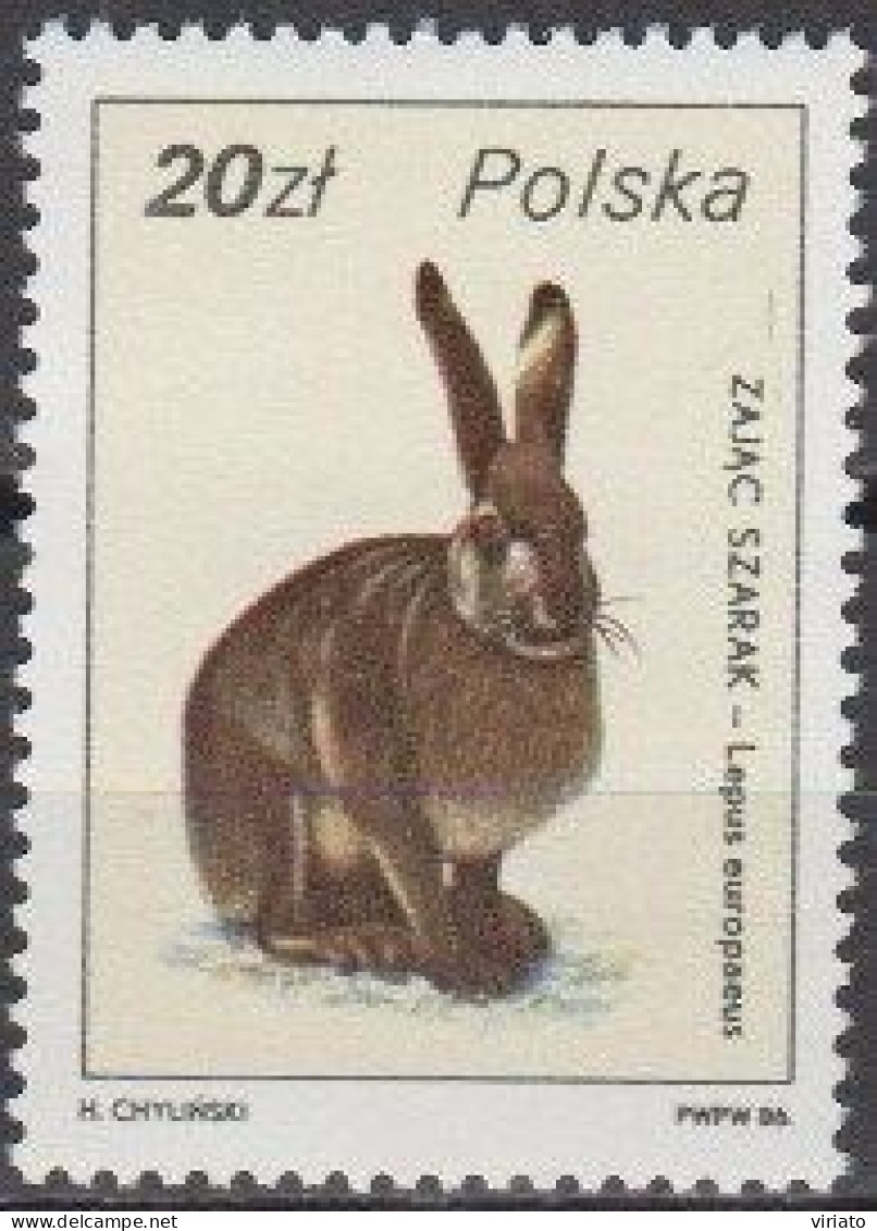 Poland 1986 (MNH) (Mi 3023) - European Hare (Lepus Europaeus) - Conigli