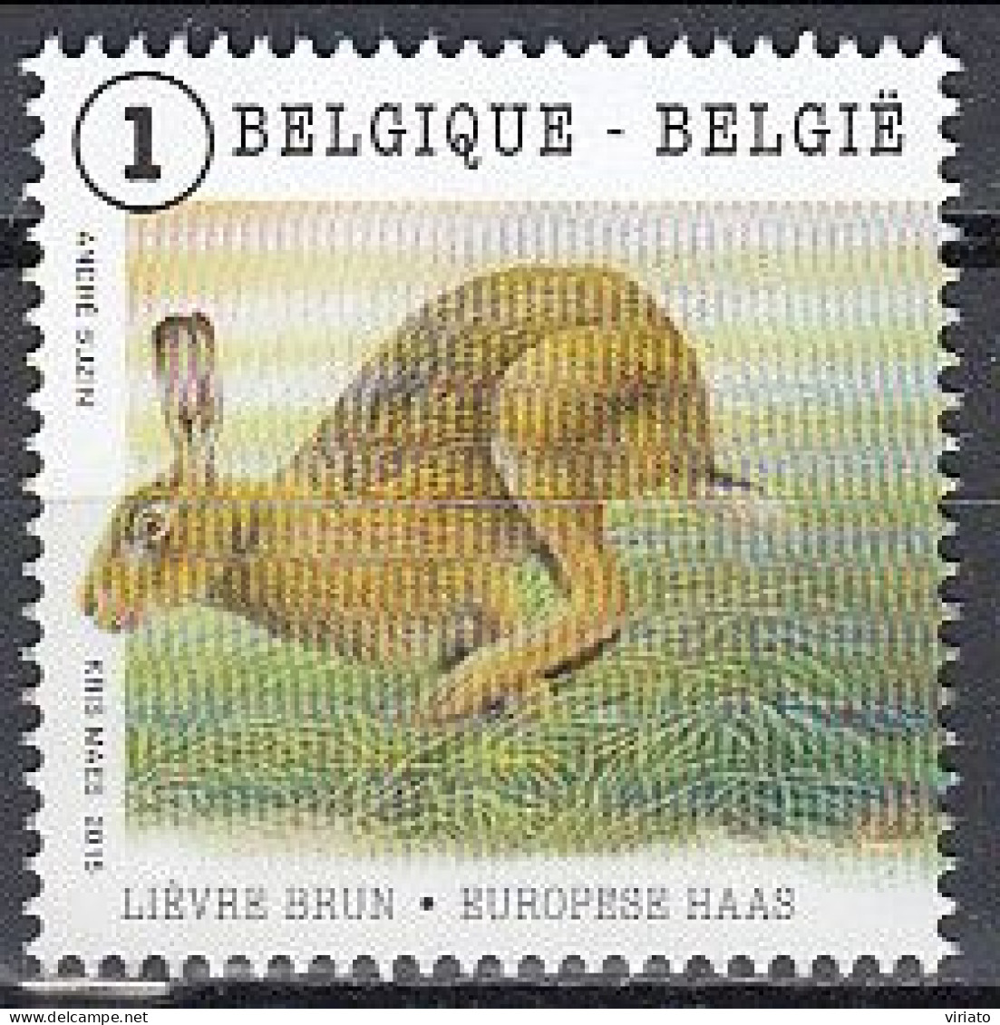 Belgium 2015 (MNH) (Mi 4551) European Brown Hare (Lepus Europaeus) - Lapins