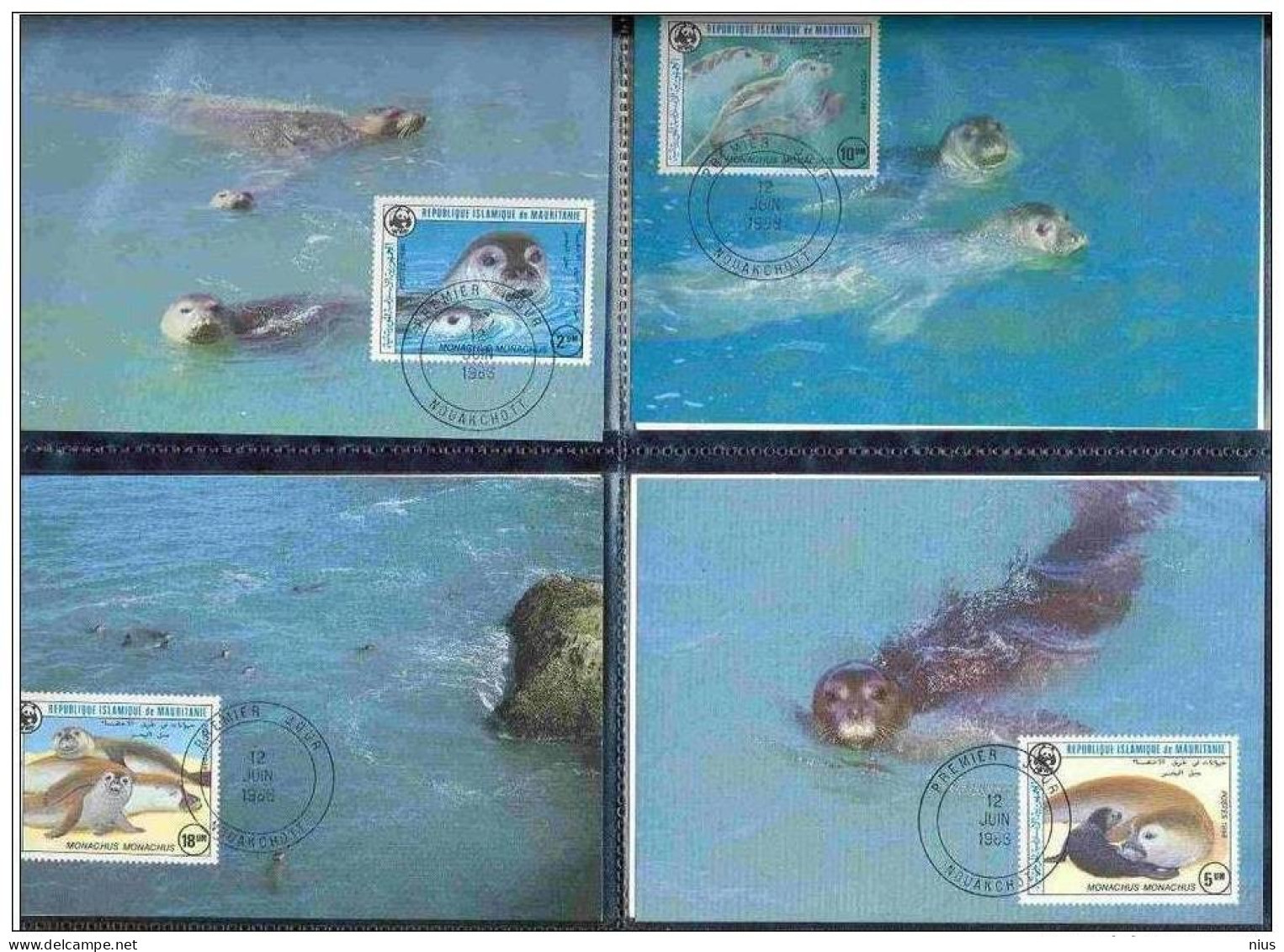 Mauritanie 1986 WWF W. W. F. Monk Seal Maximum Cards Set X4 Fauna Marine Life - Cartoline Maximum