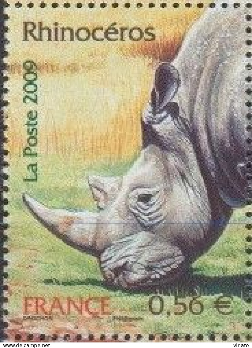 France 2009 (MNH) (Mi 4706) - White Rhinoceros (Ceratotherium Simum). - Rhinocéros