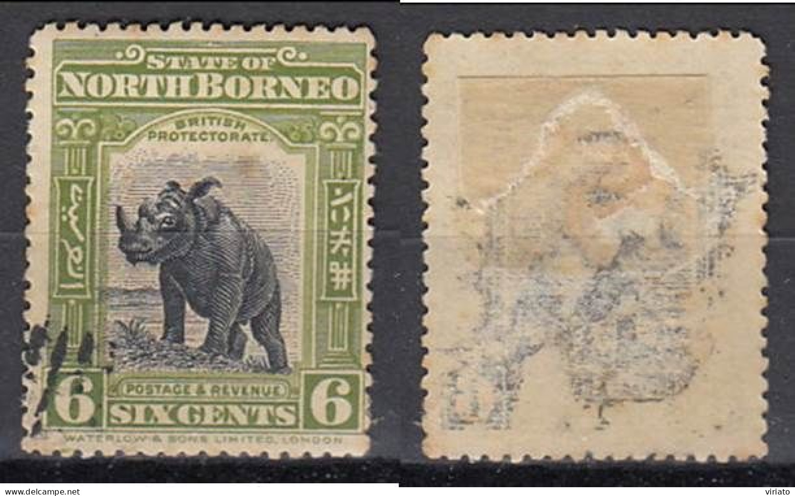 North Borneo 1909 (Used) (Mi 132) - Sumatran Rhinoceros (Dicerorhinus Sumatrensis) - Rhinozerosse