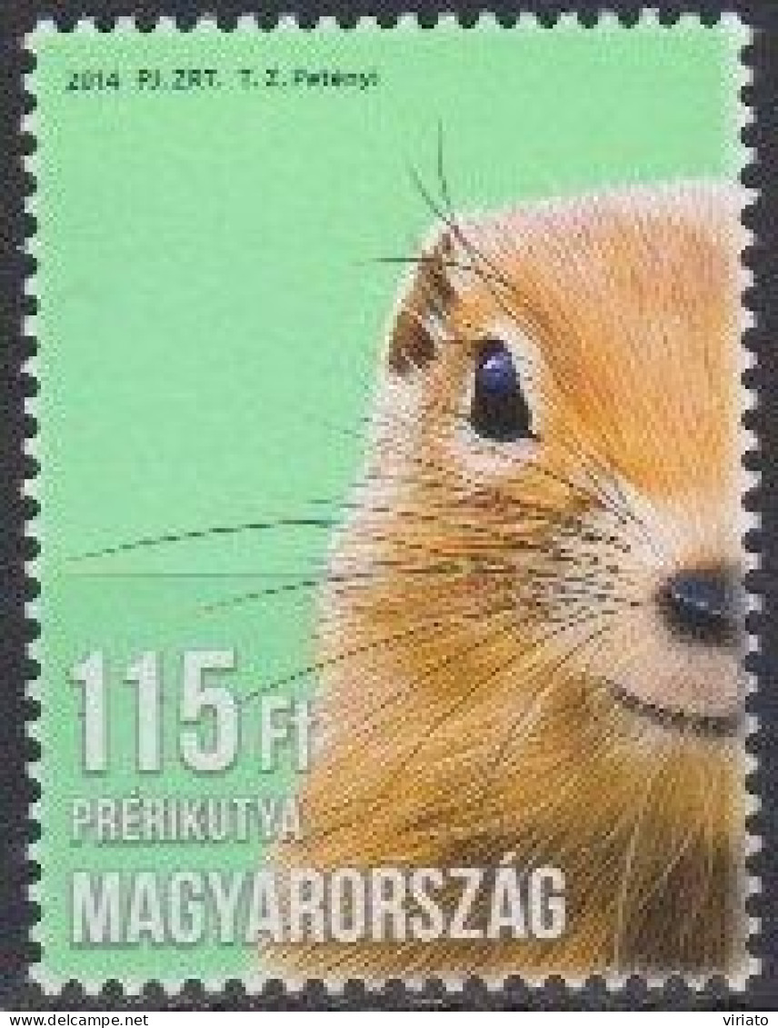 Hungary 2014 (MNH) Mi 5679 - Young Prairie Dog (Cynomys Sp.) - Roedores