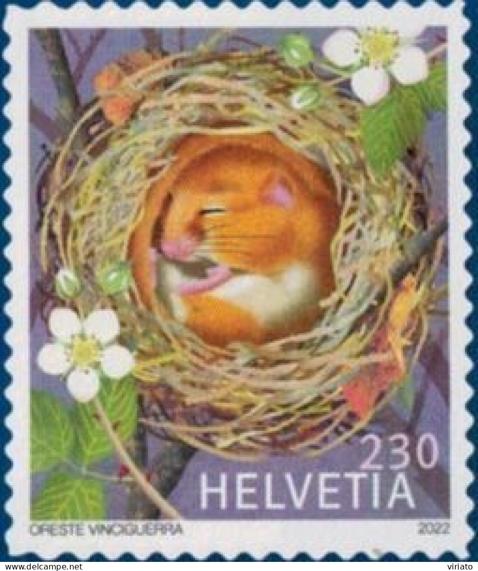 Switzerland 2022 (MNH) (Mi 2764) - Hazel Dormouse Or Common Dormouse (Muscardinus Avellanarius) - Rodents