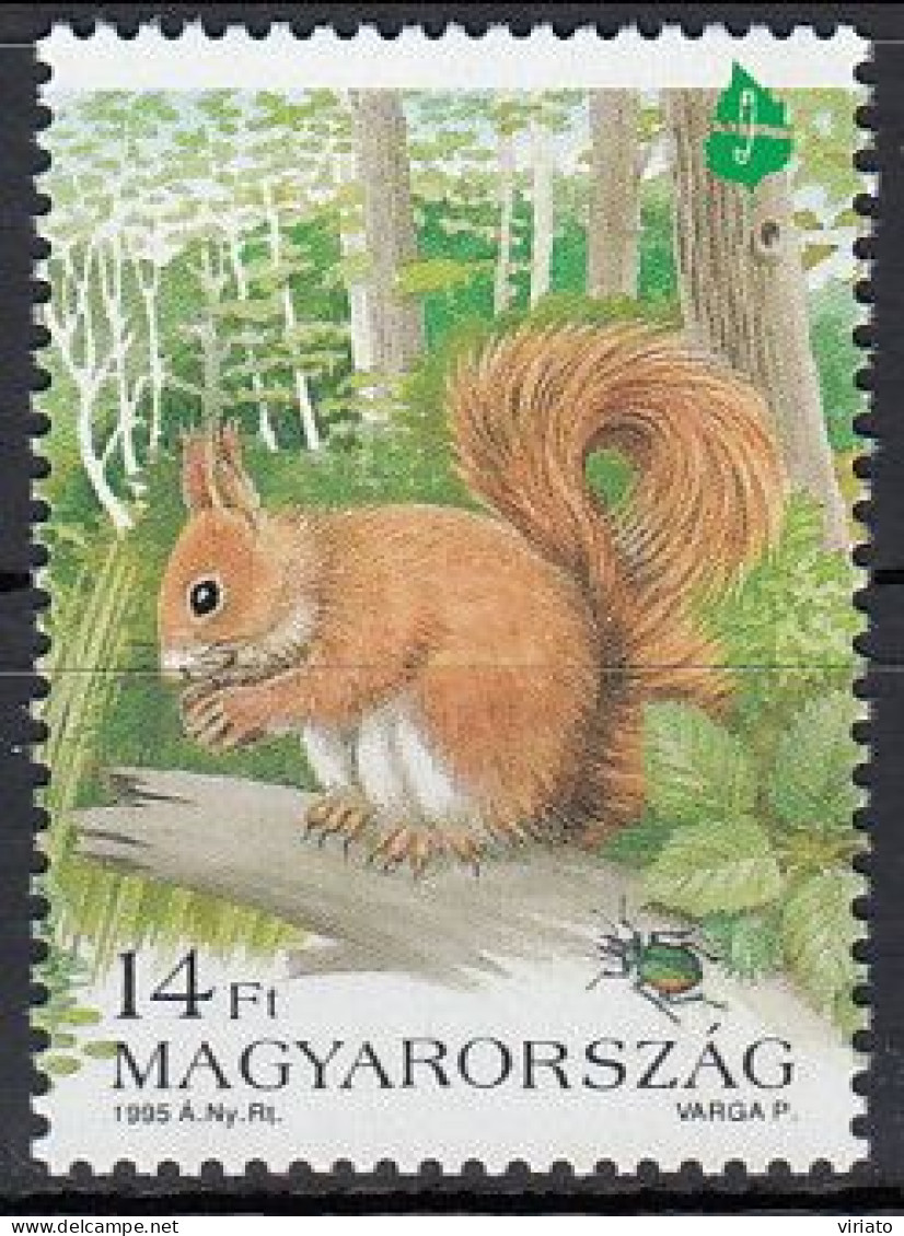 Hungary 1995 (MNH) (Mi 4344) -  Red Squirrel (Sciurus Vulgaris), Beetle, Forest - Roedores