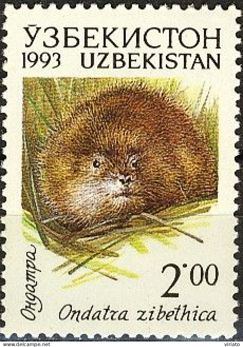 Uzbekistan 1993 (MNH) (Mi 9) - Muskrat (Ondatra Zibethica) - Rongeurs