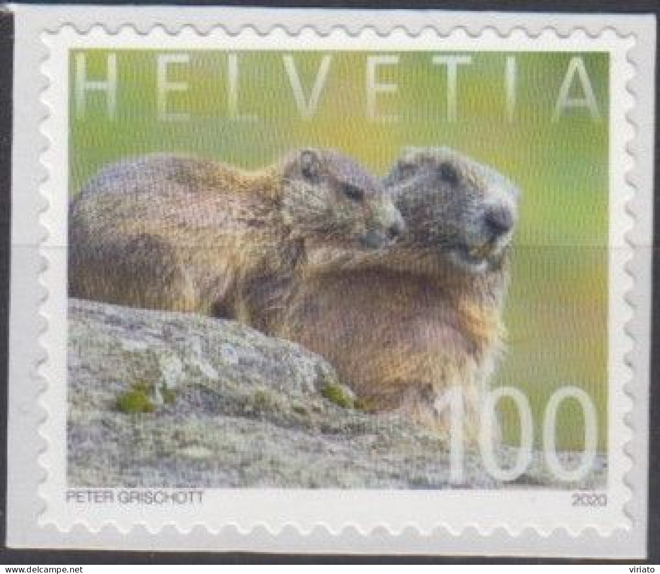 Switzerland 2020 (Mi 2658) - Alpine Marmot (Marmota Marmota) - Rongeurs