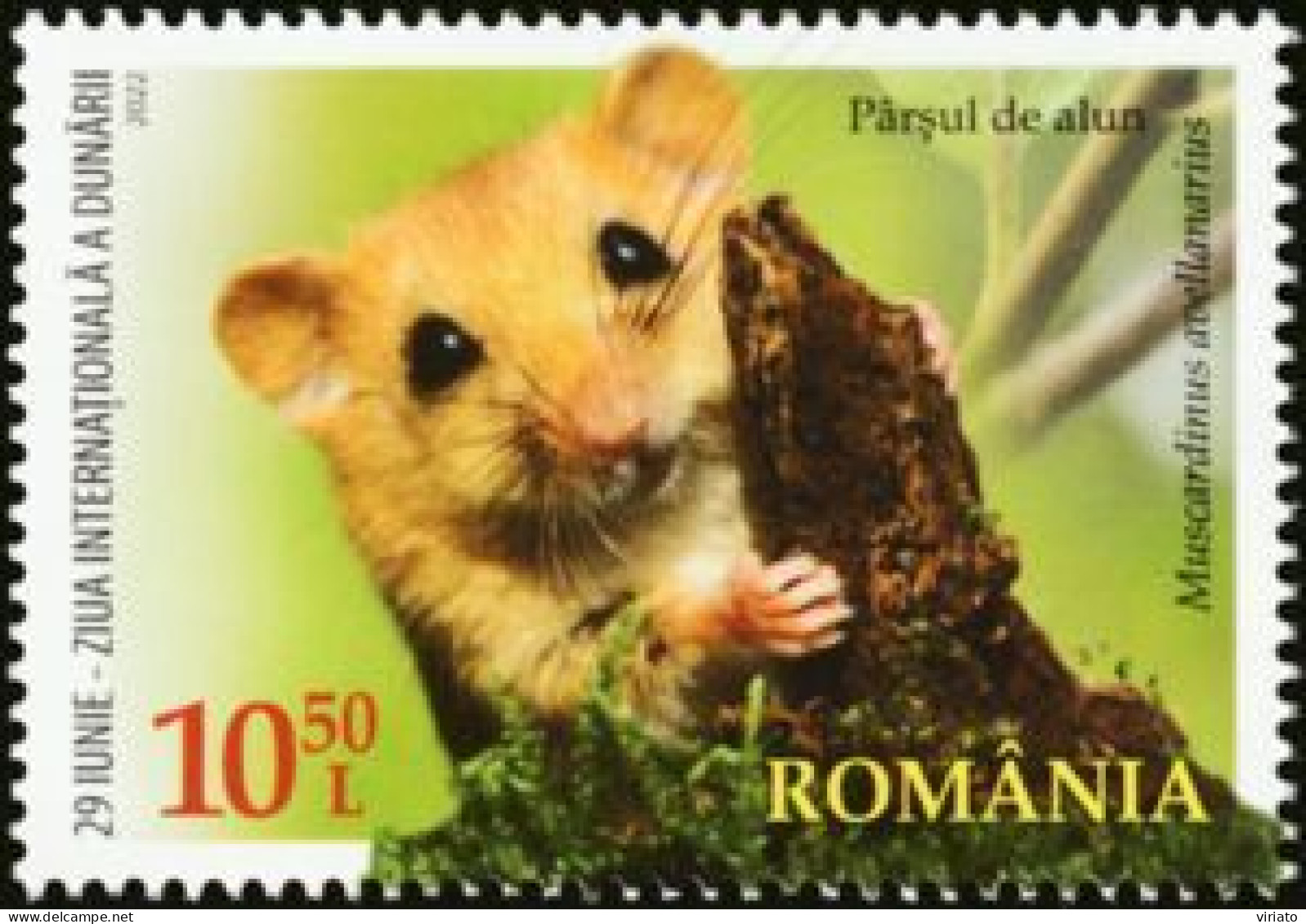 Roménia 2022 (MNH) (Mi) -  Hazel Dormouse Or Common Dormouse (Muscardinus Avellanarius) - Roedores
