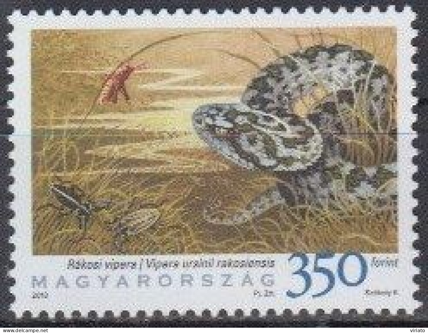 Hungary 2010 (MNH) Mi 5476 - Hungarian Meadow Viper (Vipera Ursinii Rakosiensis) - Serpents