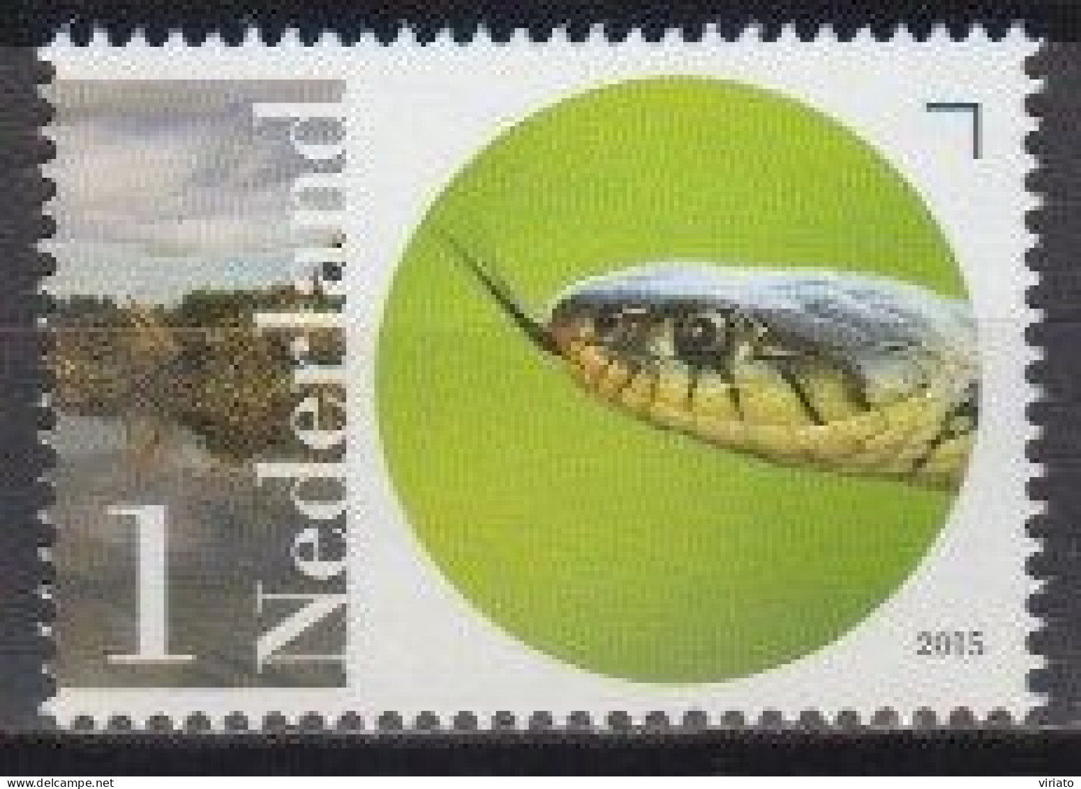 Netherlands 2015 (MNH) (Mi 3347) - European Grass Snake (Natrix Natrix) - Serpents