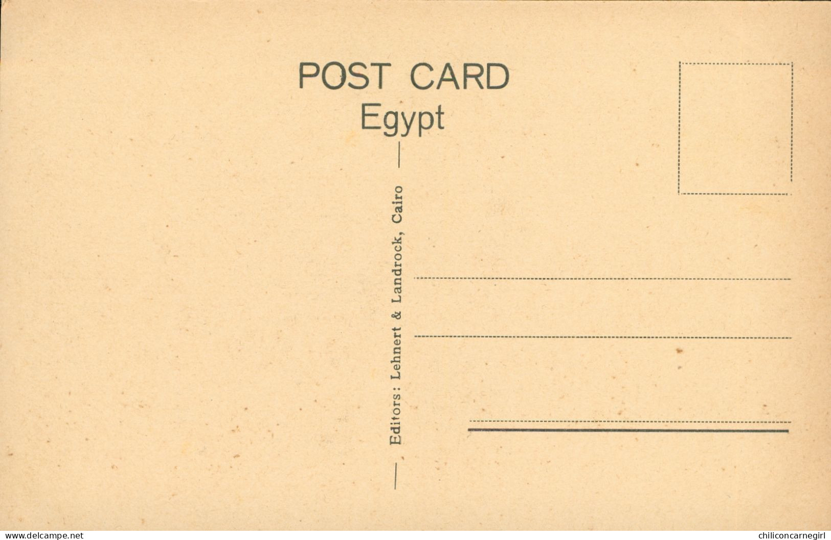 * Lot De 3 Cp - EGYPT - ASSUAN TYPE - ASSOUAN - Bazaars - Bisharin Race - Edit. LEHNERT LANDROCK - Asuán