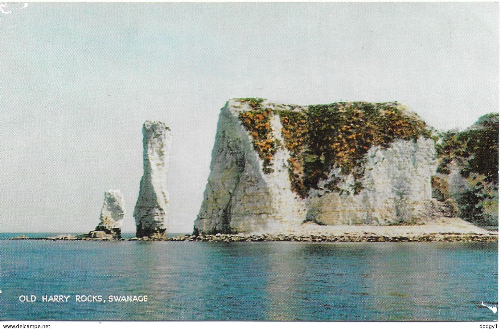 OLD HARRY ROCKS, SWANAGE, DORSET, ENGLAND.  UNUSED POSTCARD   H2 - Swanage