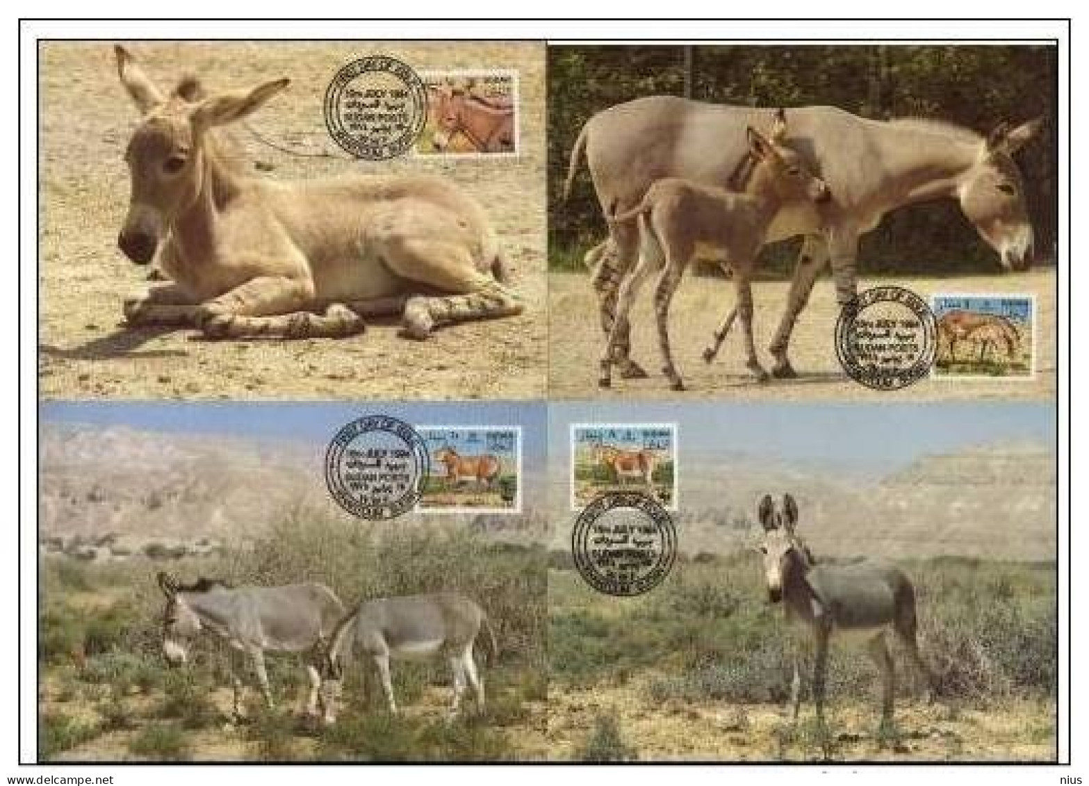 Sudan 1994 WWF W. W. F. Set X4 Maximum Cards Maxicards African Wild Ass Fauna Horse - Cartes-maximum