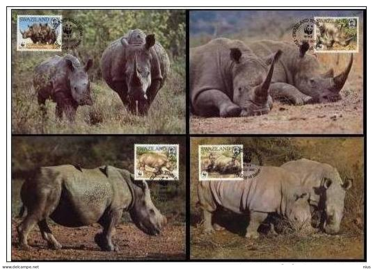 Swaziland 1987 WWF W.W.F. Maximum Cards White Rhinoceros MC Set X4 Fauna - Cartoline Maximum