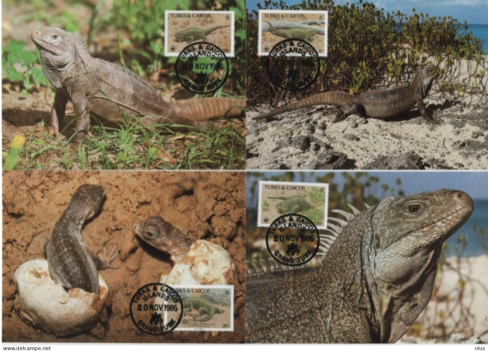 TURKS & CAICOS 1986 WWF W.W.F. REPTILES LEGUAN IGUANA  MC Maximum Cards Set X4 Fauna - Maximum Cards