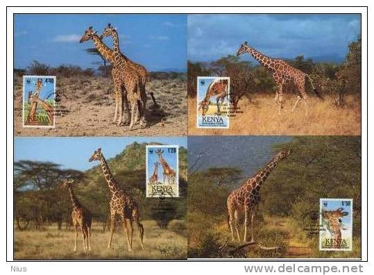 Kenya 1989 WWF W. W. F. MC Maximum Cards Reticulated Giraffe Fauna Set X4 Animals - Maximum Cards