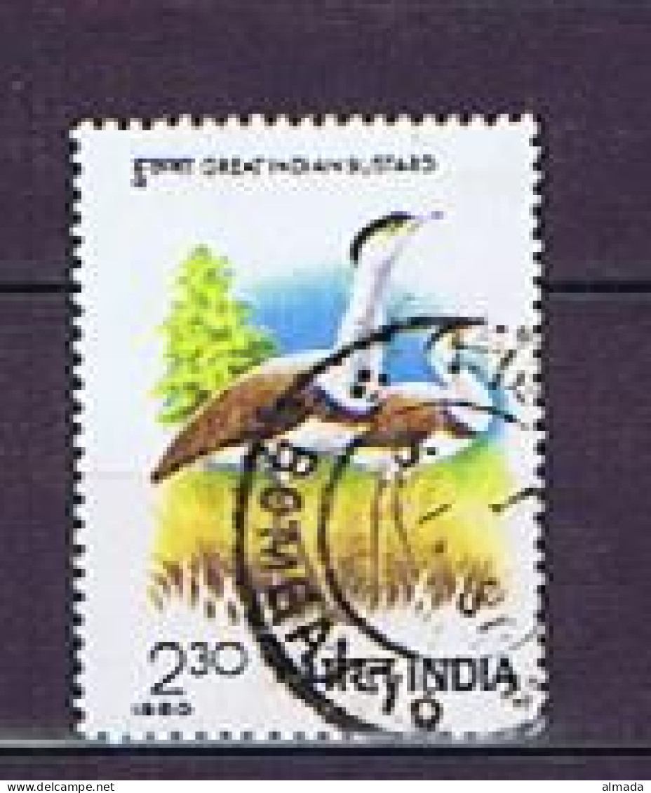 India 1980: Michel 844 Used, Gestempelt - Used Stamps